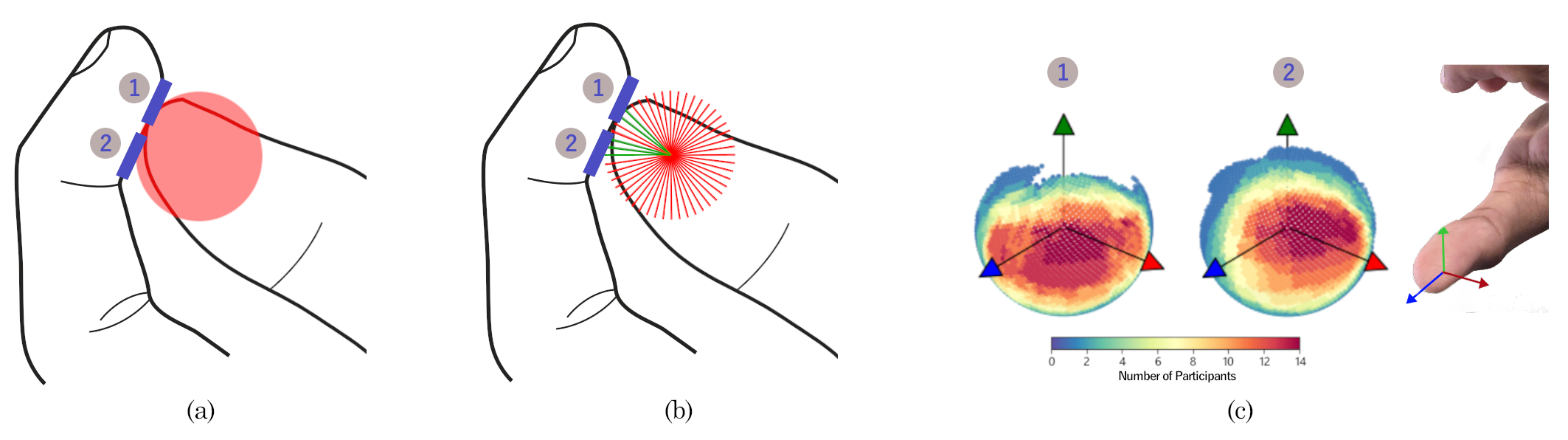 Shows the interaction of thumb-to-finger interactions with two targets on the distal phalanx of the index finger on HPUI. (a) Shows using the collision volume that represents the thumb in a physic engine. In this example, the collision volume of the thumb is colliding with both targets. (b) To better understand what happens, the spherical collision volume is replaced with raycasts. The figure shows the cross-section of the raycasts and highlights the rays that are interacting with the targets in green. This raycast-based approach is also further used to improve the accuracy of target selection. (c) Shows the number of participants who had utilized a given ray when selecting the respective targets during the data collection study.